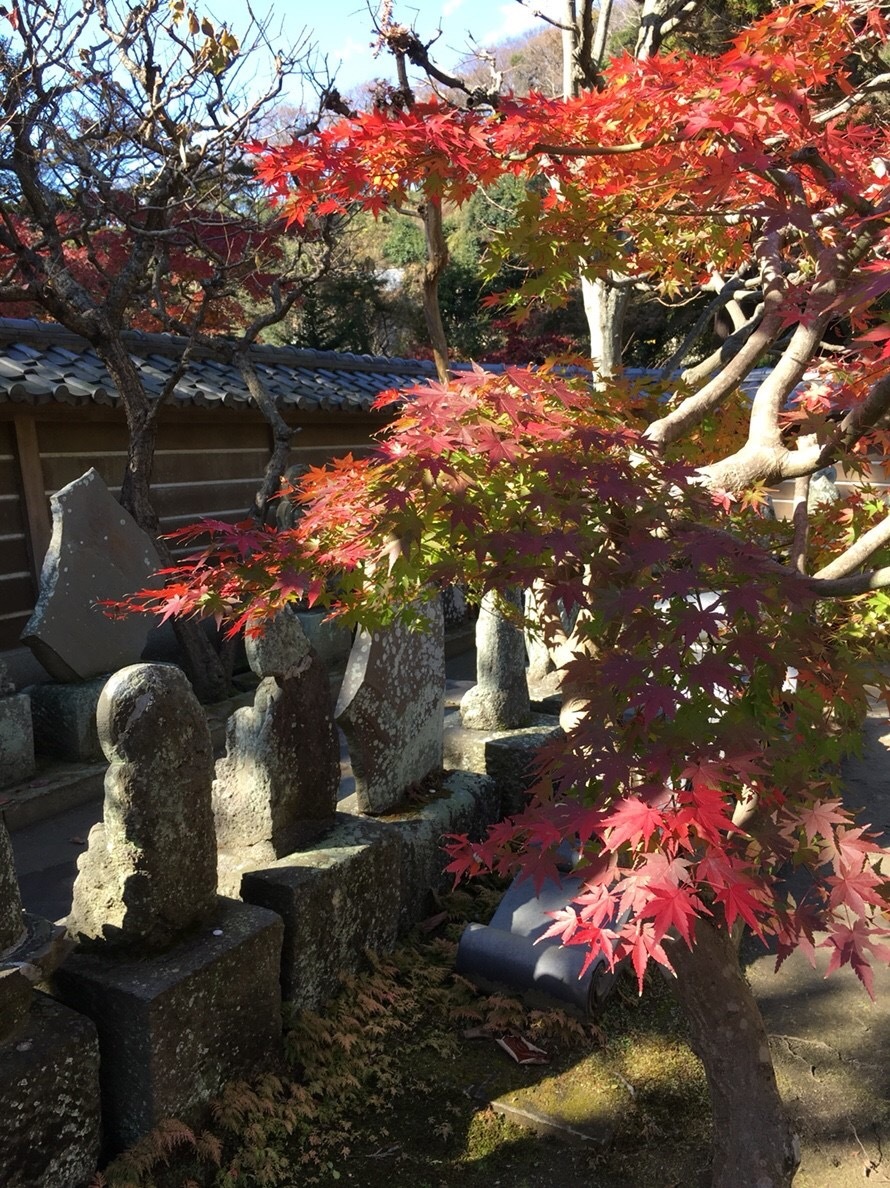 b0145863_11304099.jpeg