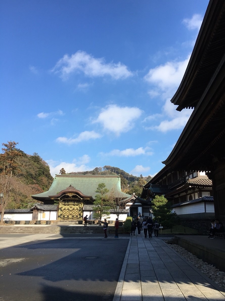 b0145863_11405139.jpeg
