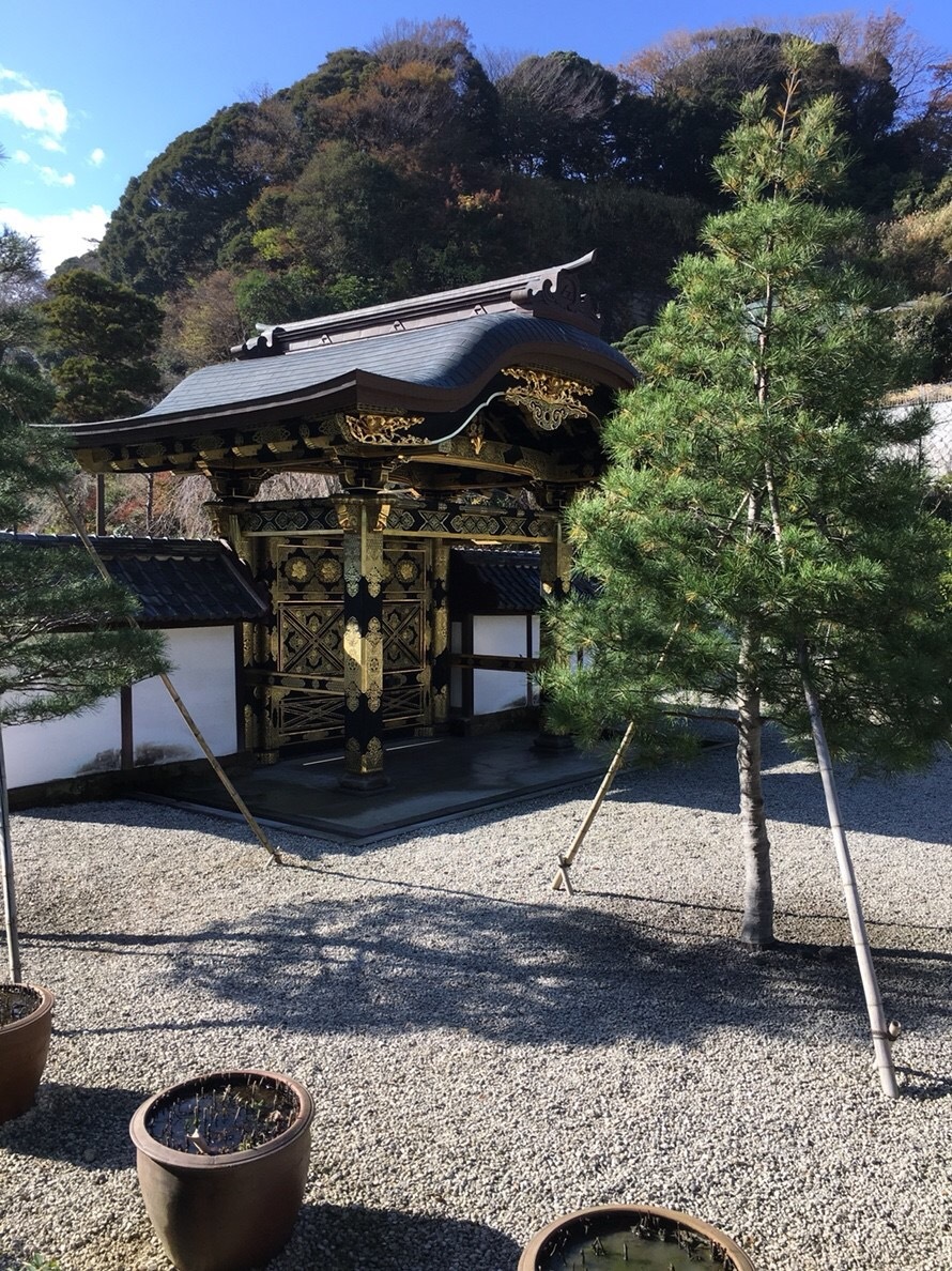 b0145863_11413009.jpeg