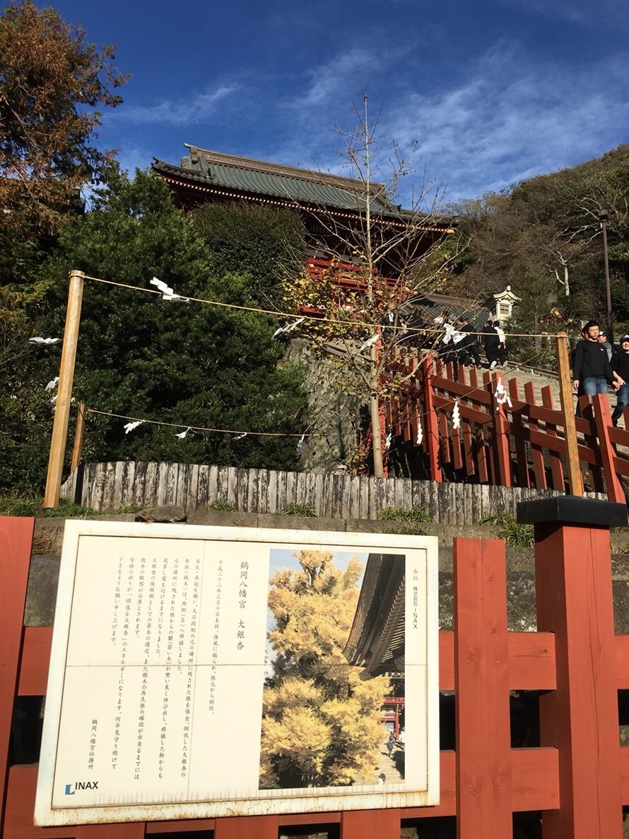 b0145863_12022203.jpeg