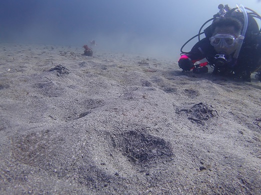 e0132965_12430950.jpg