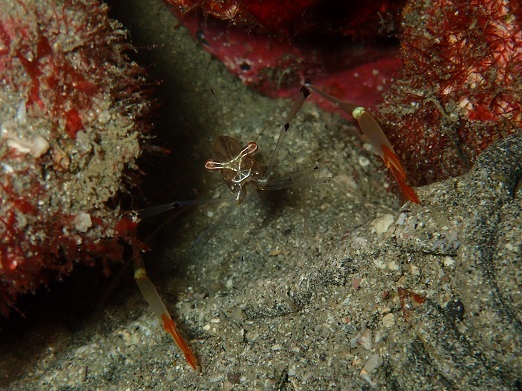 e0132965_12433121.jpg