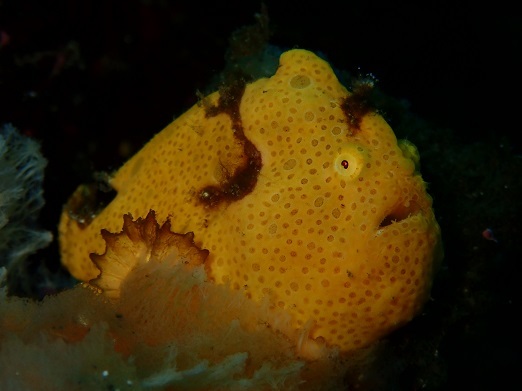 e0132965_12434505.jpg