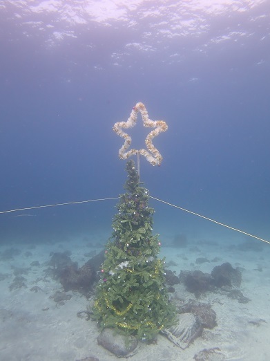 e0132965_12441161.jpg
