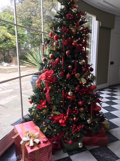 南カリフォルニアのクリスマス風景ーポインセチアなどなど_e0350971_14432411.jpg