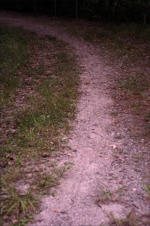 c0168172_22171025.jpg