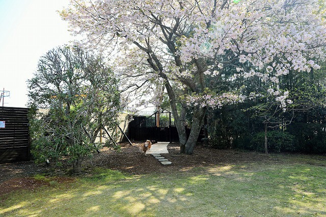 d0378077_18494835.jpg