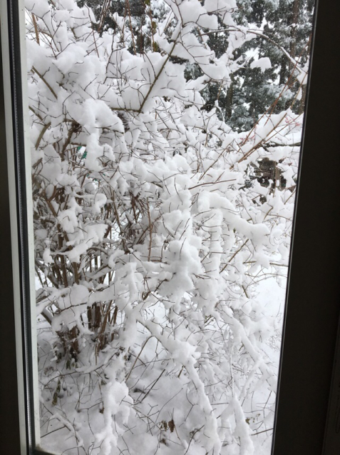 c0380878_12521048.jpg