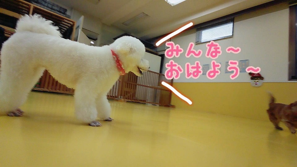 仲良しトリオσ(≧ω≦*)_f0357682_15343811.jpg