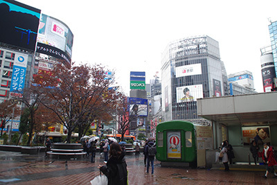 b0056983_16472711.jpg