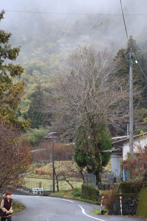 c0358784_22422816.jpg