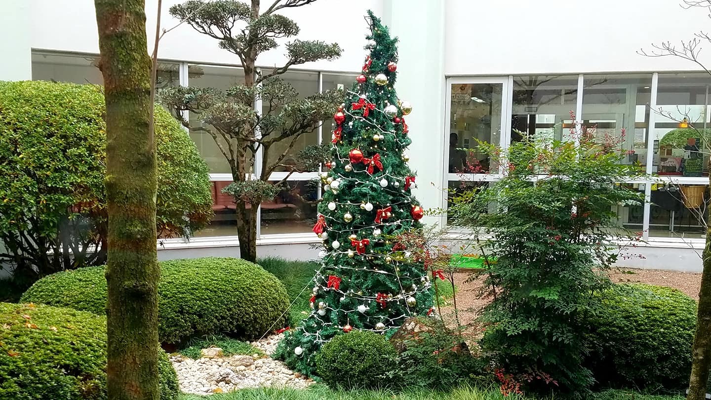 c0186691_09485041.jpg