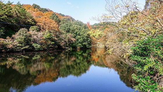 紅葉を見に鎮西山へ_e0176993_16152415.jpg