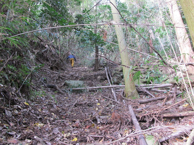 a0166196_130131.jpg