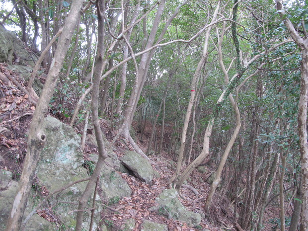 a0166196_1314241.jpg