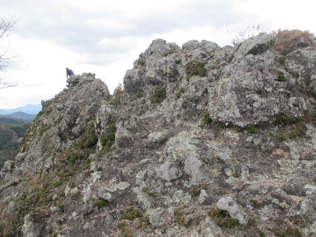 a0166196_1331986.jpg