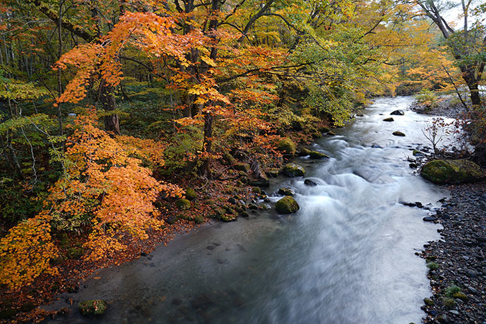 東北の紅葉① 星のリゾート 奥入瀬渓流ホテル_b0145398_23163406.jpg