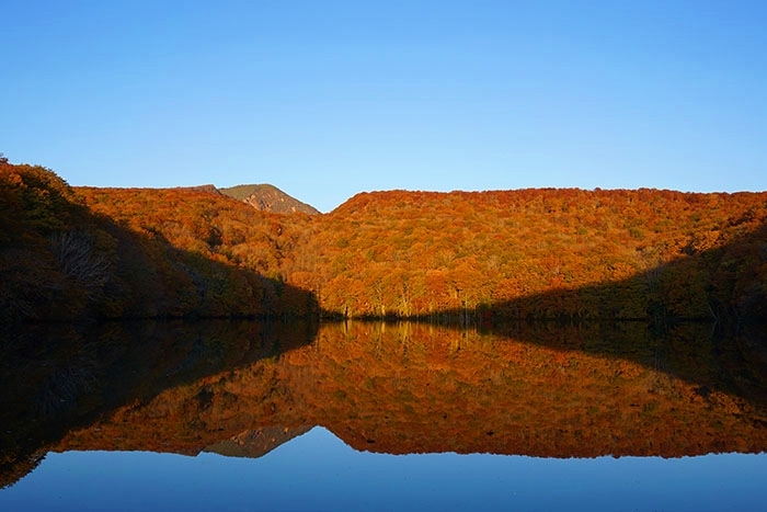 東北の紅葉② 紅葉の蔦沼_b0145398_23454963.jpg