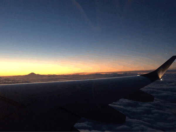 大好きな田辺市での再会_f0208202_03012852.gif