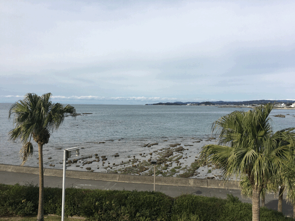 大好きな田辺市での再会_f0208202_03245380.gif