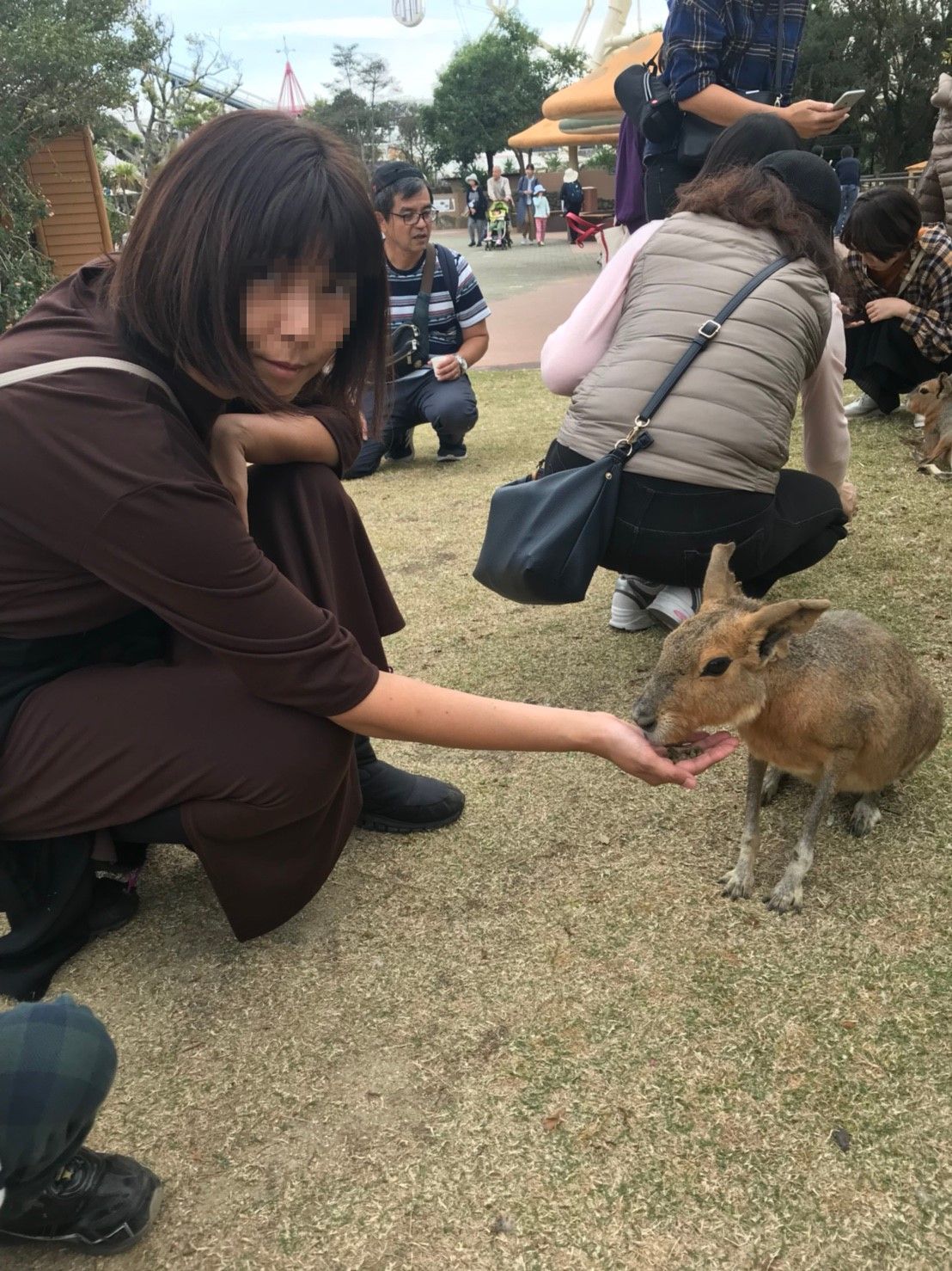 和歌山にいってきました_a0113003_11574829.jpg