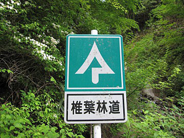 f0061705_17210325.jpg