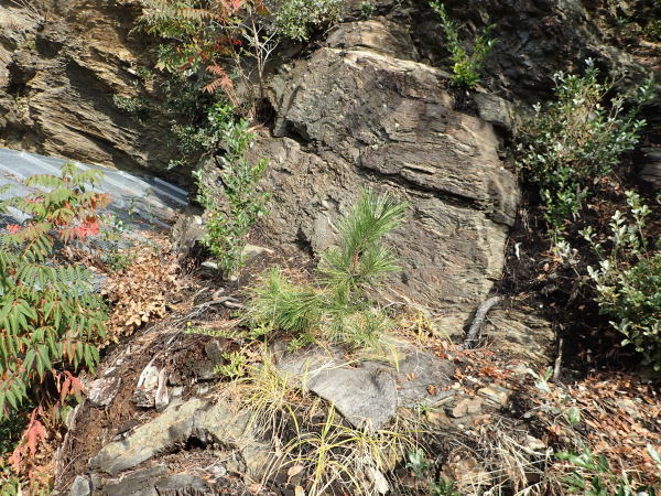 c0367107_14404937.jpg