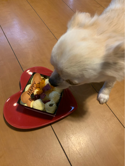 誕生日_f0085810_15115604.jpg