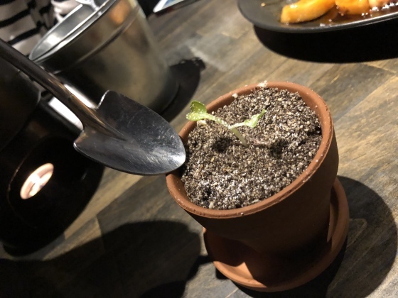 c0199011_16455774.jpeg