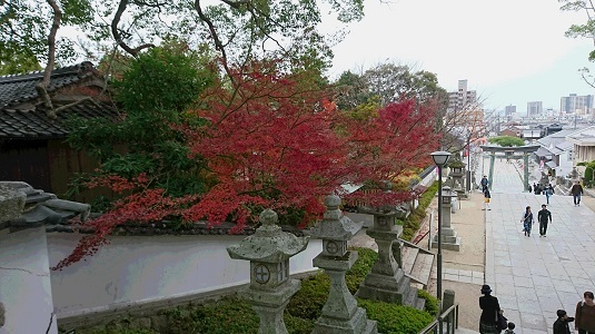 f0371014_01353622.jpg