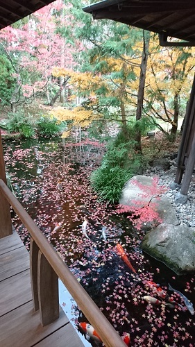 f0371014_01354401.jpg
