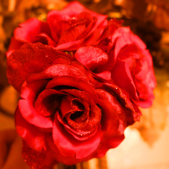 a0329820_18473897.jpg