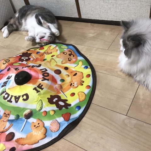 寒い12月_b0340621_14321435.jpeg