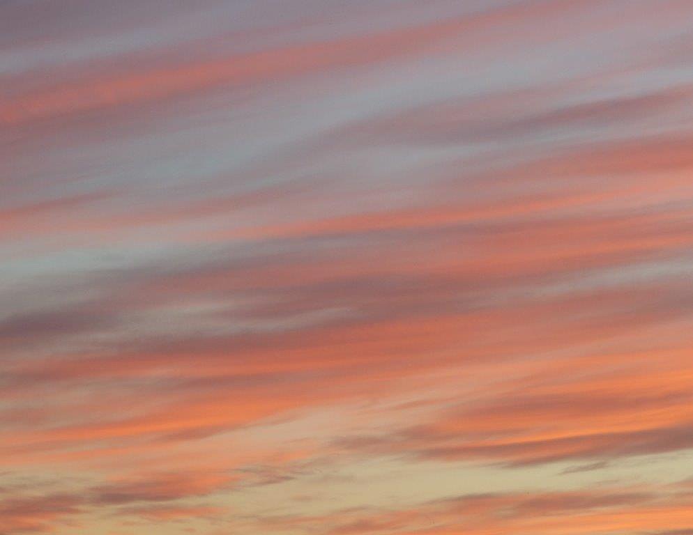 b0162728_17175071.jpg