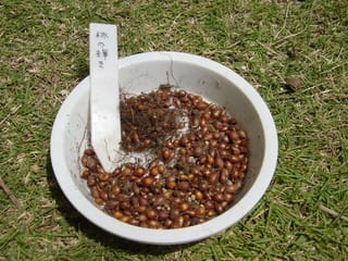 e0033229_18213910.jpg