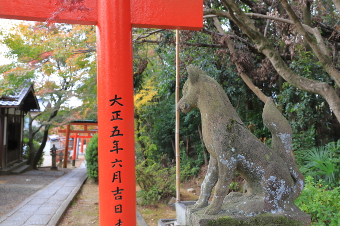 【竹中稲荷神社】紅葉関西帰省 - 11 -_f0348831_20104495.jpg