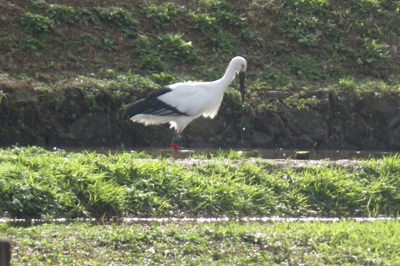 a0017634_11553378.jpg
