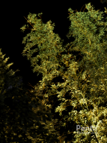 c0227134_15011803.jpg