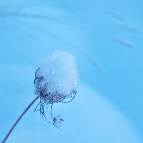a0329935_19051556.jpeg