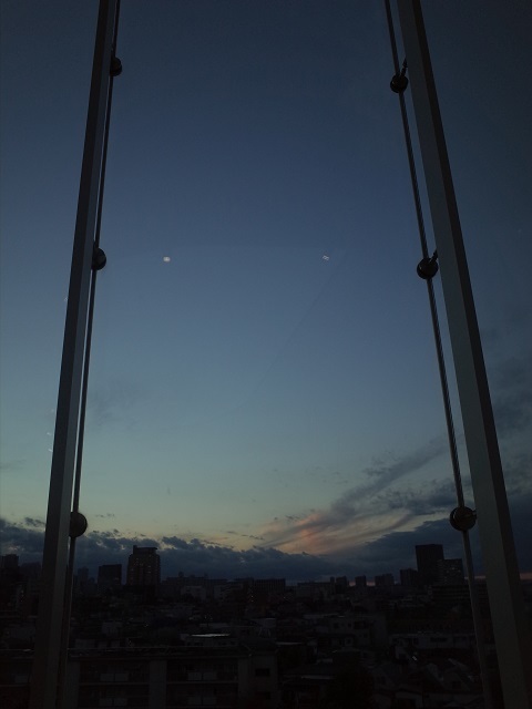 a0087341_20190906.jpg