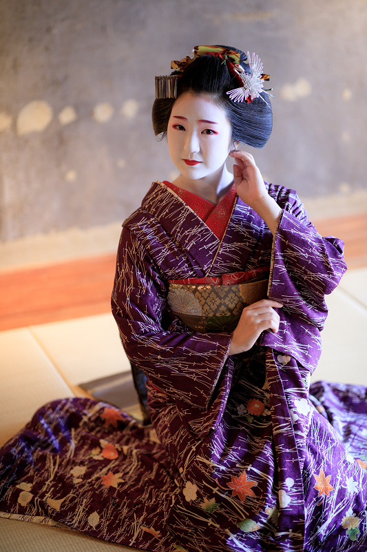先笄（祇園東・雛佑さん）室内編 : 花景色－K.W.C. PhotoBlog