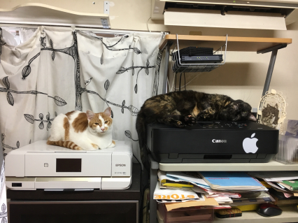 エアコンLove_a0028451_10053144.jpg