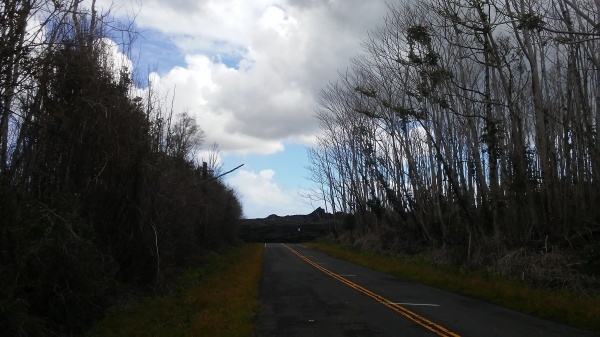 b0126453_01553321.jpg