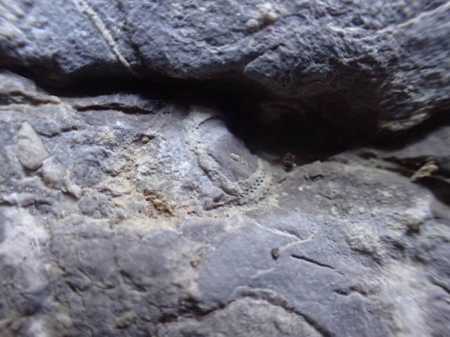 d0171959_21202903.jpg