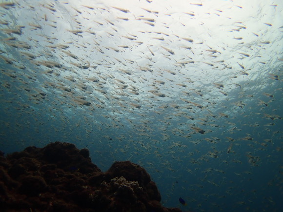 e0132965_09224399.jpg