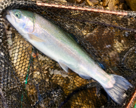 f0306678_17593032.jpg