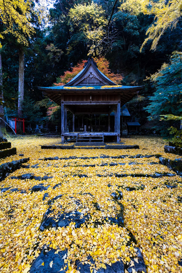 2018紅葉！　　～岩戸落葉神社～_b0128581_20331278.jpg