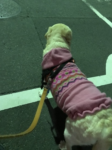 f0315081_21173639.jpeg