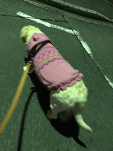 f0315081_21175417.jpeg