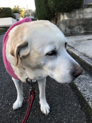 f0315081_21212923.jpeg